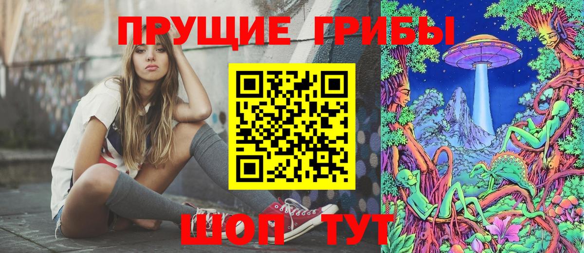Псилоцибиновые грибы Psilocybine cubensis Карасук