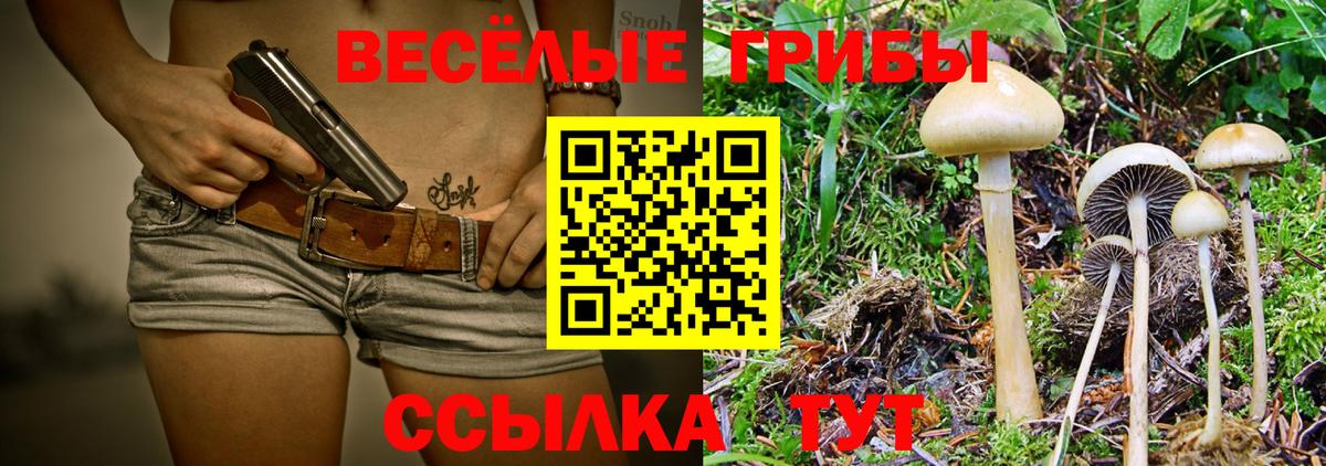 где продают   Вход с VPN  Карасук  Псилоцибиновые грибы ЛСД 