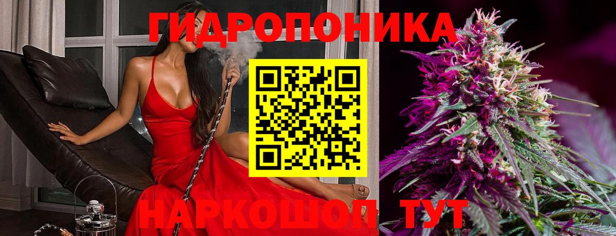 Каннабис индика Карасук